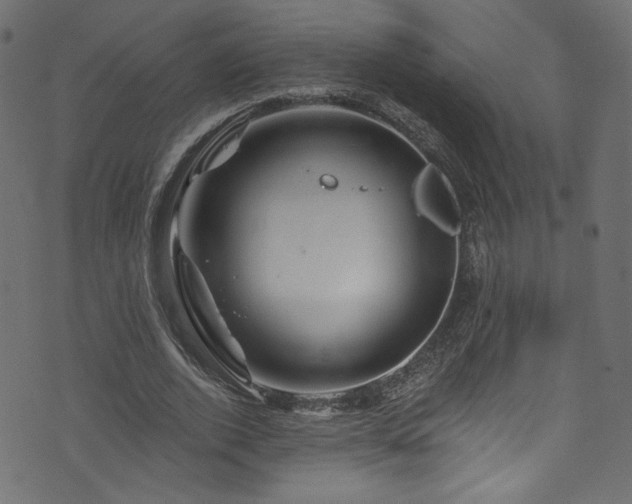 X0000074040728200608281444