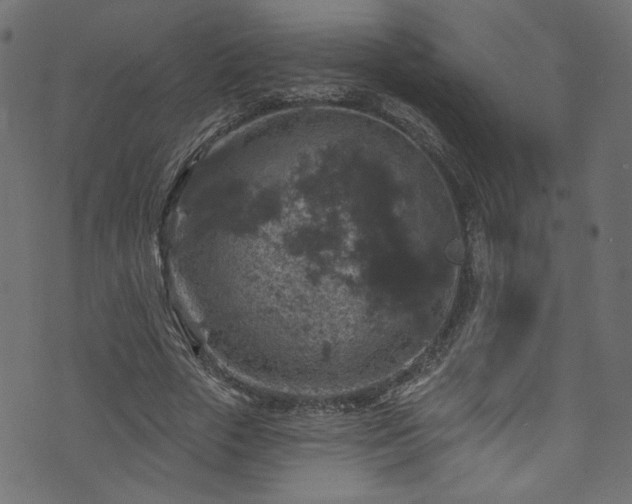 X0000074040729200608281444