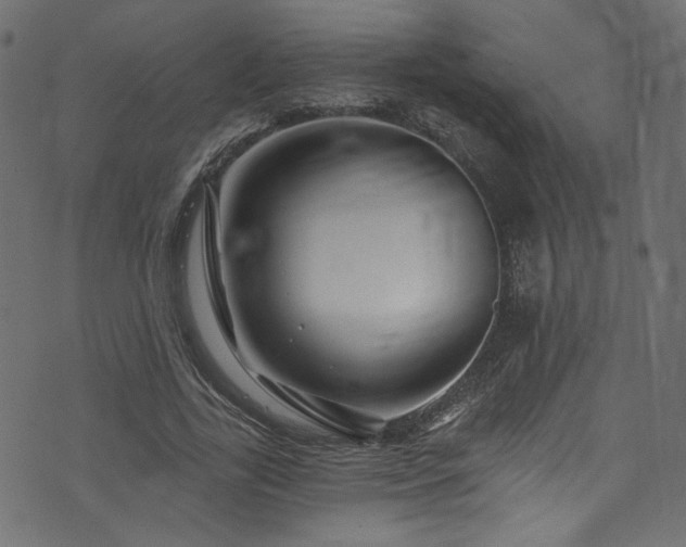 X0000074040731200608281444