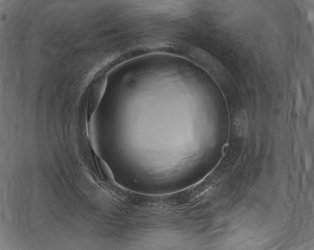 X0000074040732200608281444