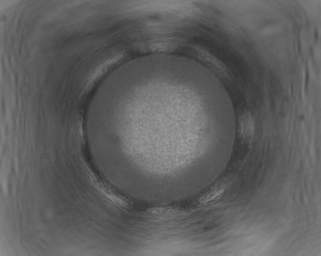 X0000074040733200608281444