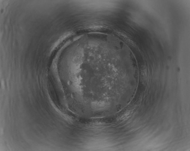 X0000074040734200608281444