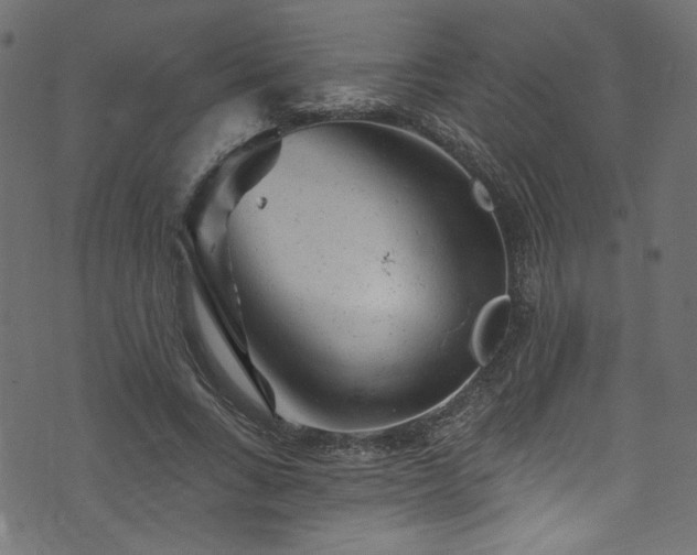 X0000074040735200608281444