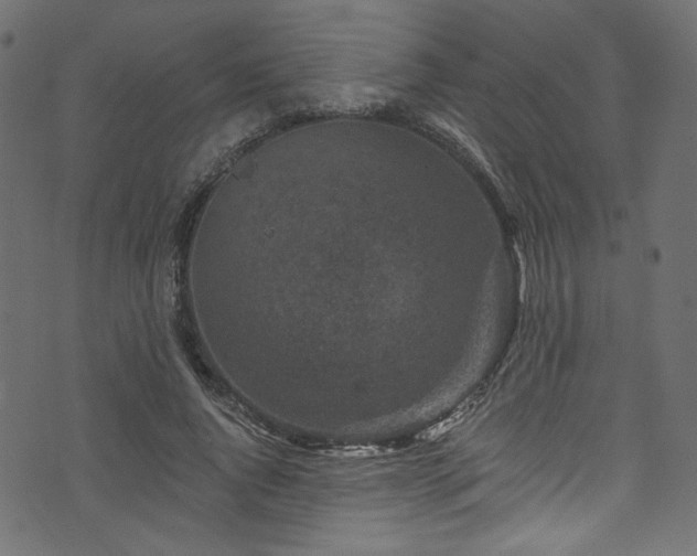 X0000074040736200608281444