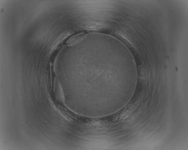 X0000074040738200608281444