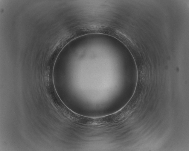 X0000074040739200608281444