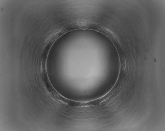 X0000074040740200608281444