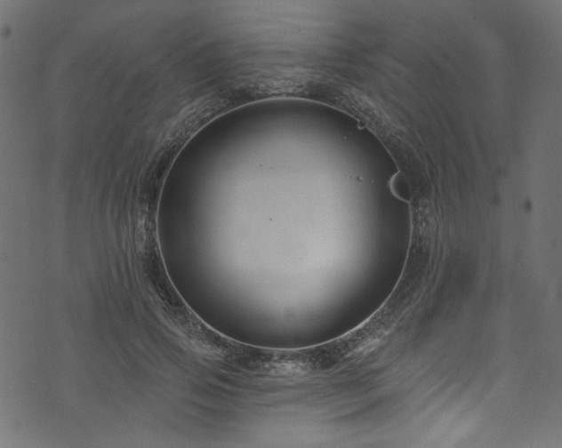 X0000074040741200608281444