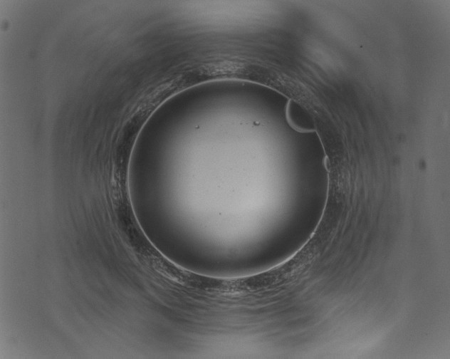 X0000074040743200608281444