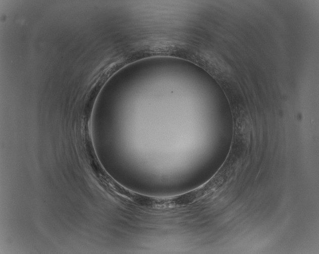 X0000074040744200608281444