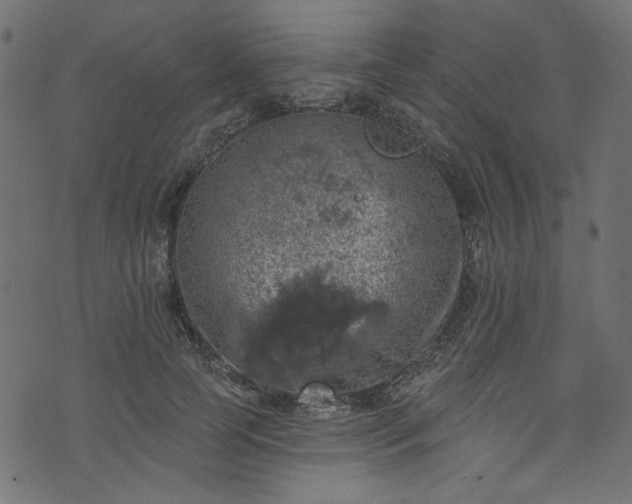 X0000074040745200608281444