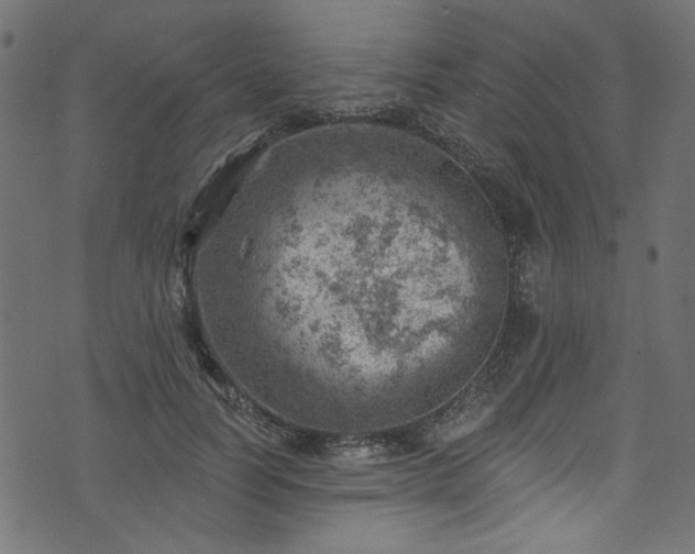 X0000074040746200608281444