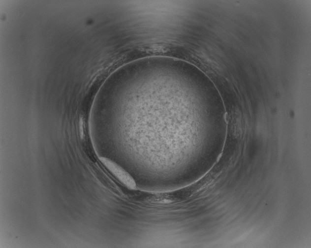 X0000074040747200608281444