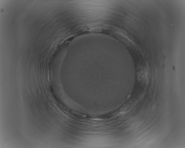 X0000074040748200608281444