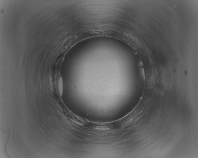 X0000074040749200608281444