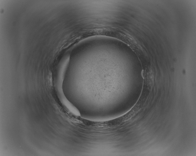 X0000074040750200608281444