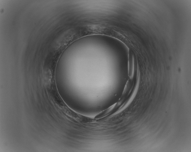 X0000074040752200608281444