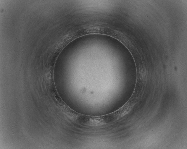 X0000074040753200608281444