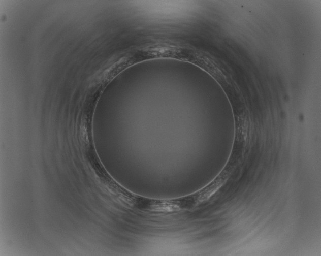 X0000074040754200608281444