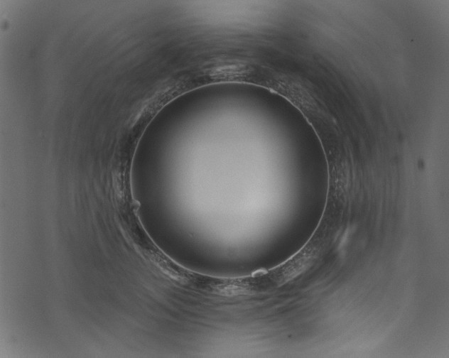 X0000074040755200608281444