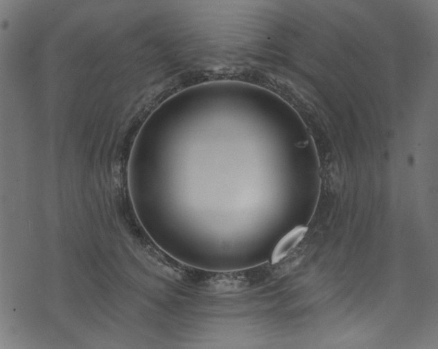 X0000074040756200608281444