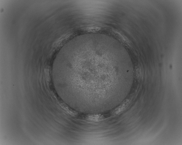 X0000074040757200608281444