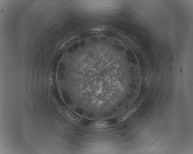 X0000074040758200608281444