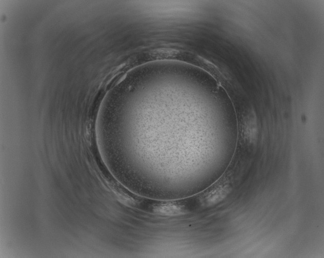 X0000074040759200608281444