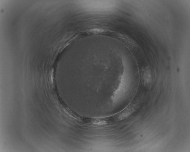 X0000074040760200608281444