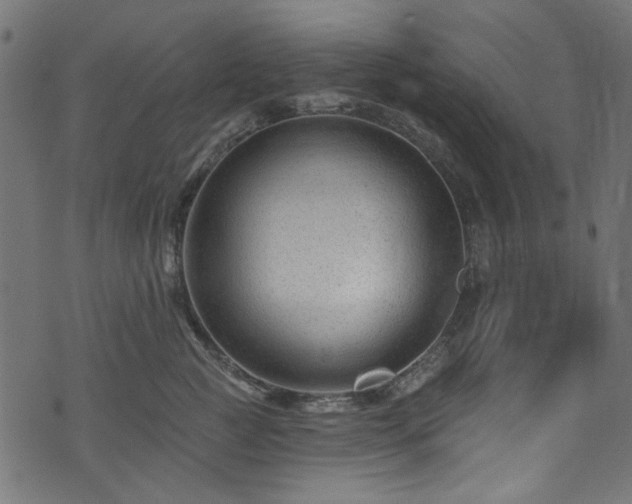 X0000074040761200608281444