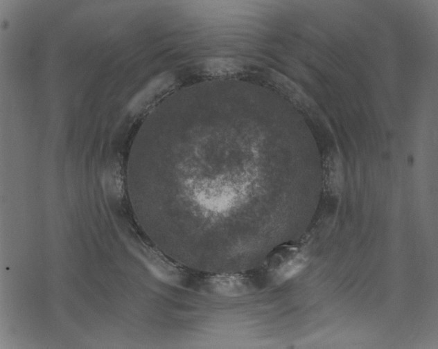 X0000074040762200608281444