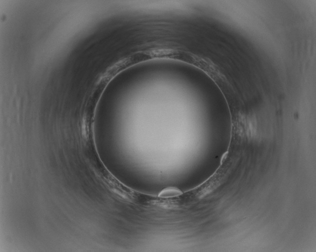 X0000074040763200608281444