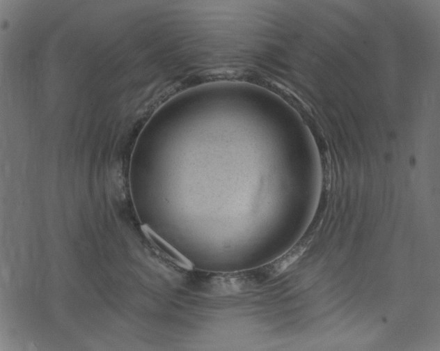 X0000074040764200608281444