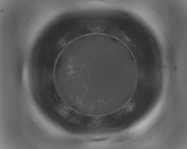 X0000074040765200608281444