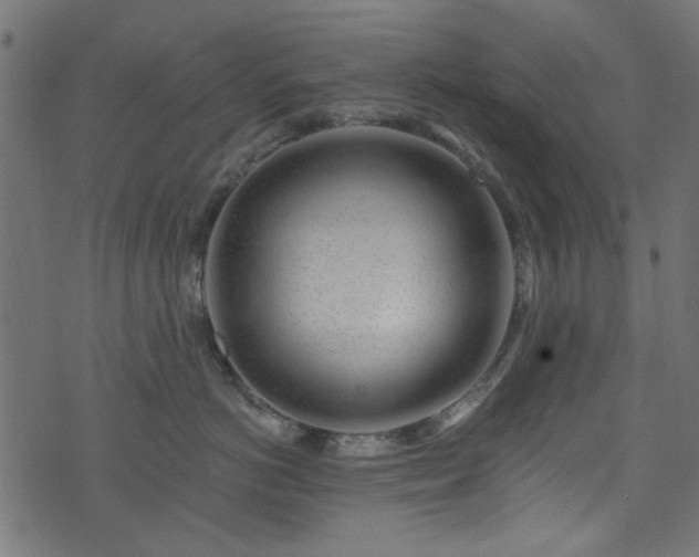 X0000074040766200608281444