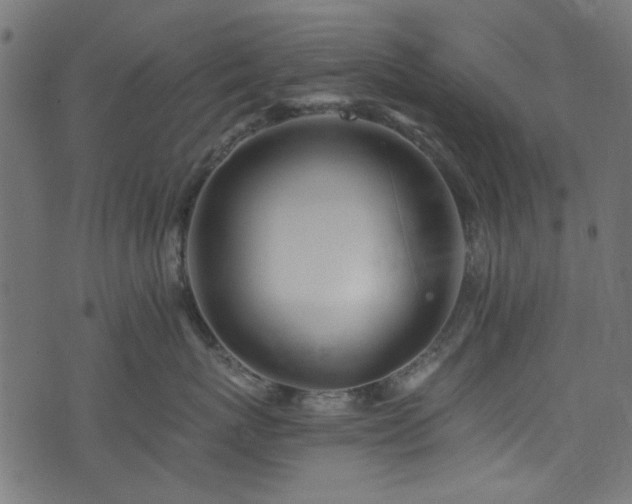 X0000074040767200608281444