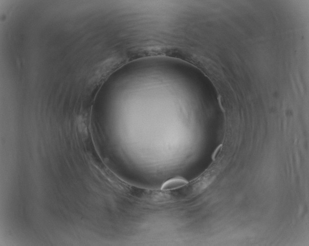 X0000074040768200608281444