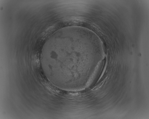 X0000074040771200608281444