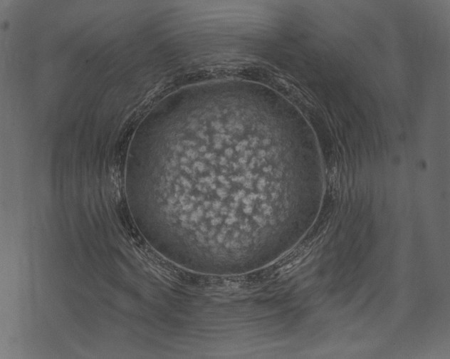 X0000074040772200608281444