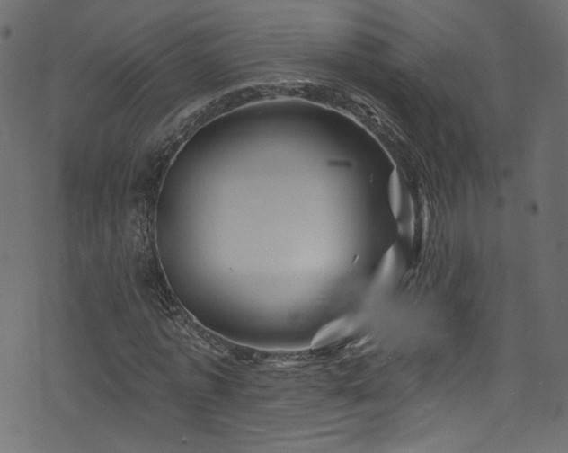 X0000074040773200608281444