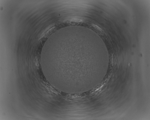 X0000074040774200608281444