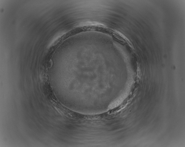 X0000074040775200608281444