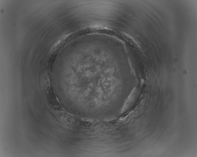 X0000074040776200608281444