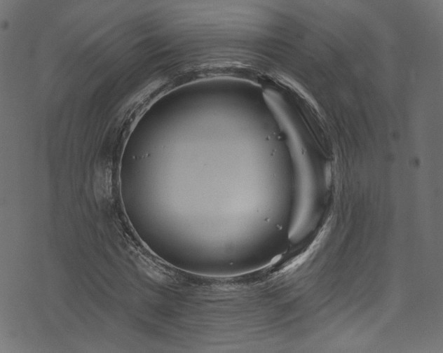 X0000074040777200608281444