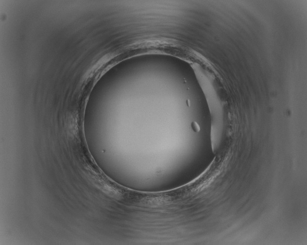 X0000074040778200608281444