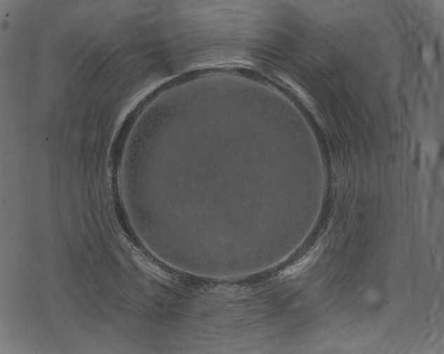 X0000074040779200608281443