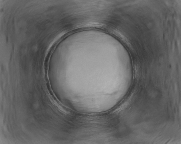 X0000074040780200608281443