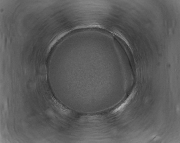 X0000074040781200608281443