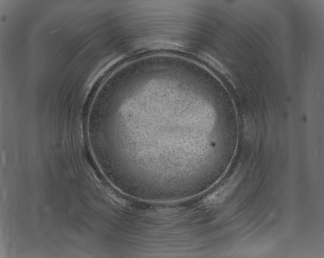 X0000074040782200608281443