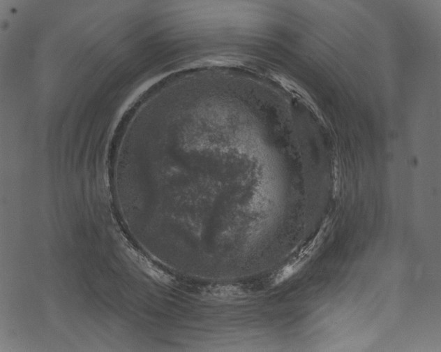 X0000074040784200608281443